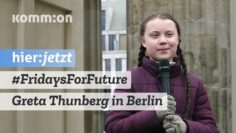 #FridaysForFuture I Greta Thunberg beim Klimastreik Berlin