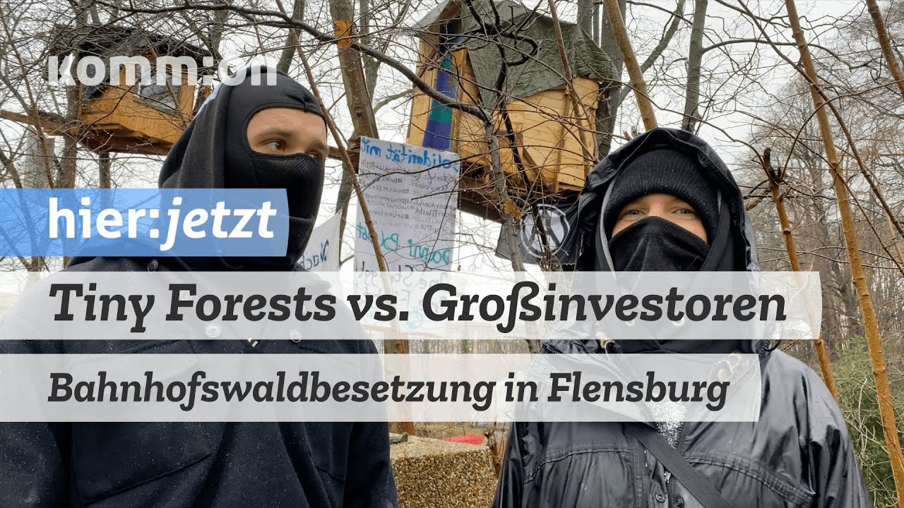 Tiny Forests vs. (Groß-)Investoren: Bahnhofswald-Besetzung in Flensburg